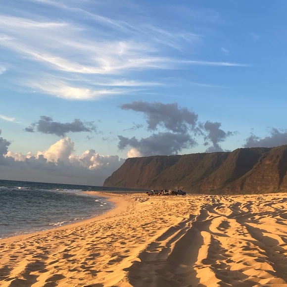 Meet your Posher, Kam - Picture 1 of 1